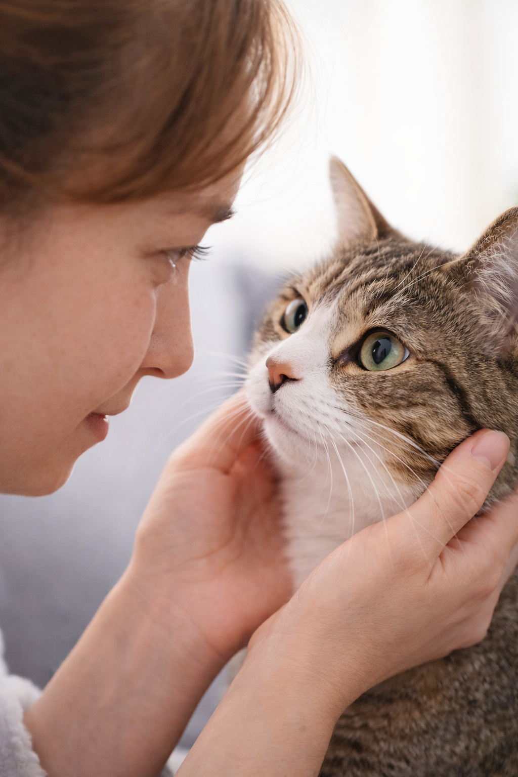 猫と飼い主