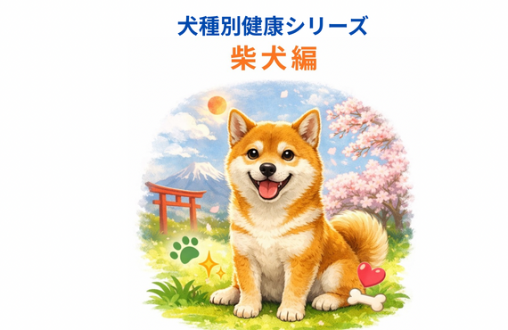 柴犬の健康管理｜シニア期の不調対策と毎日のケア方法｜アニマケア