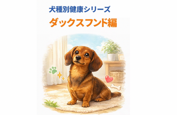 ミニチュアダックスフンドの健康管理｜腰・体重・運動ケア｜アニマケア