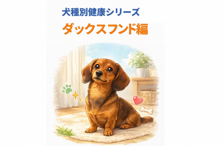 ミニチュアダックスフンドの健康管理｜腰・体重・運動ケア｜アニマケア