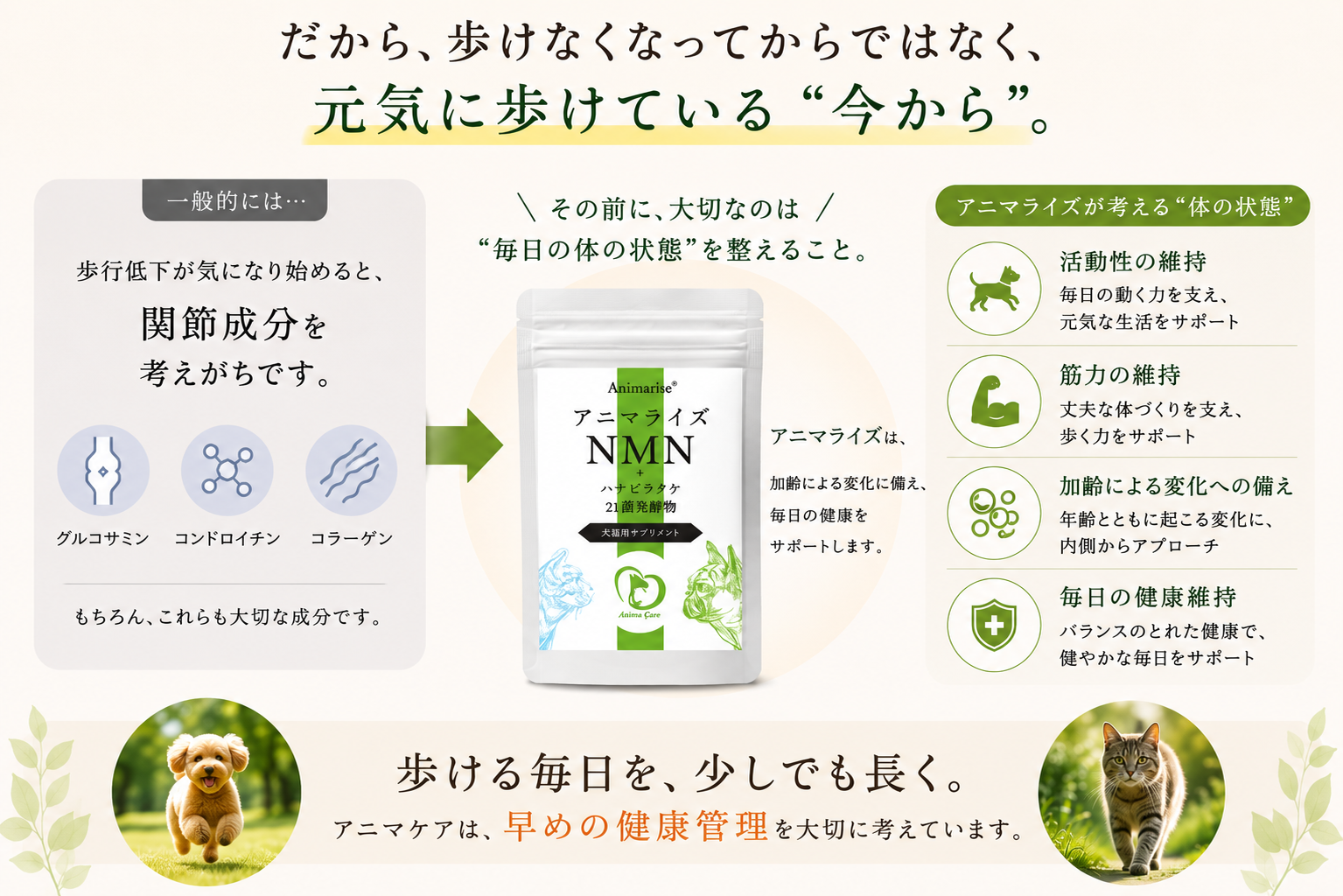 犬猫の健康寿命と歩行ケアを考えるアニマライズNMN＋