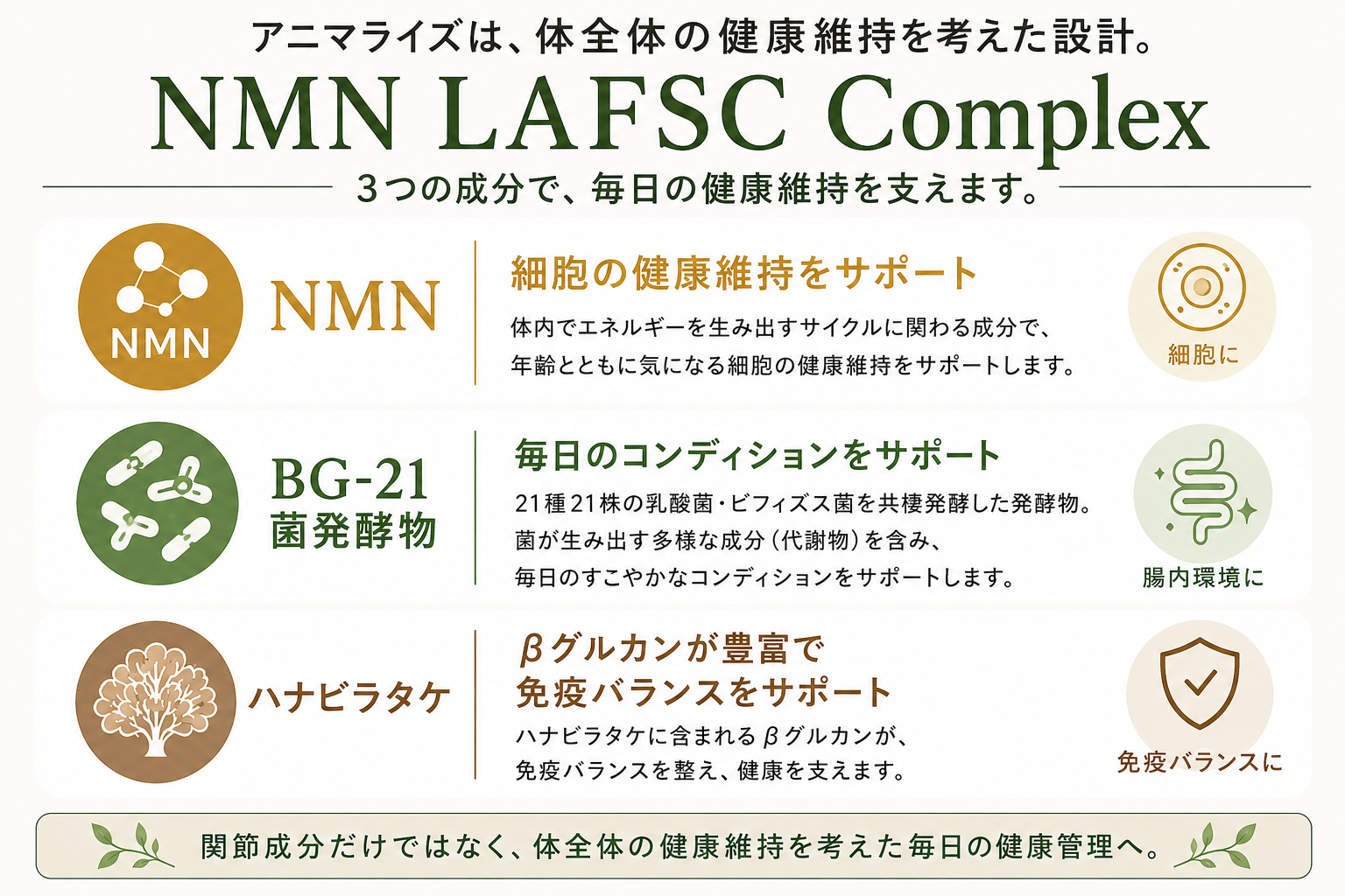 アニマライズNMN＋の主要成分と健康維持設計