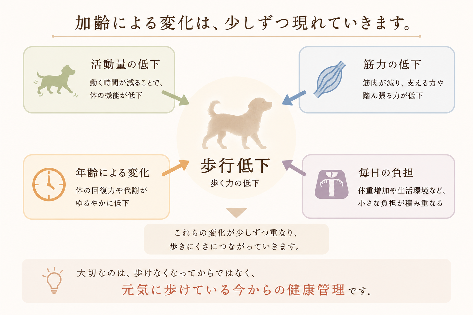 加齢による歩行低下と健康管理の考え方