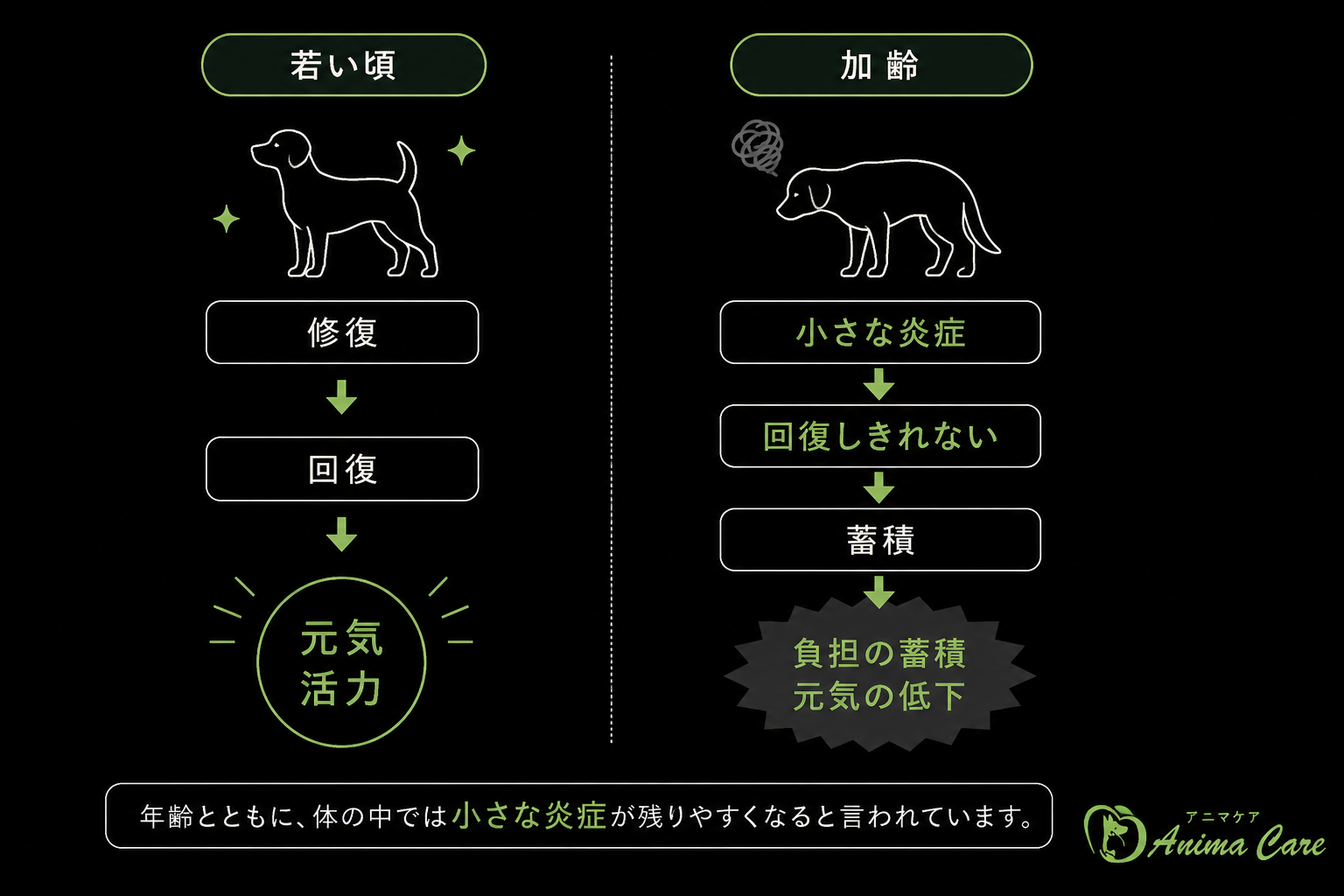 若い頃と加齢による小さな炎症の蓄積を比較した老化炎症の図解