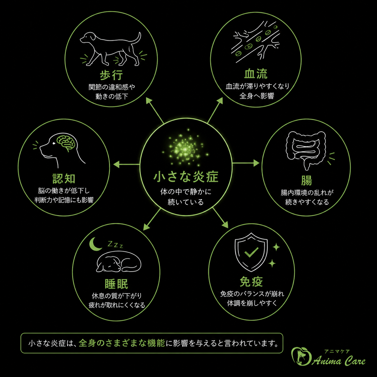 老化炎症による歩行、認知、血流、腸、免疫、睡眠への影響を説明した図解