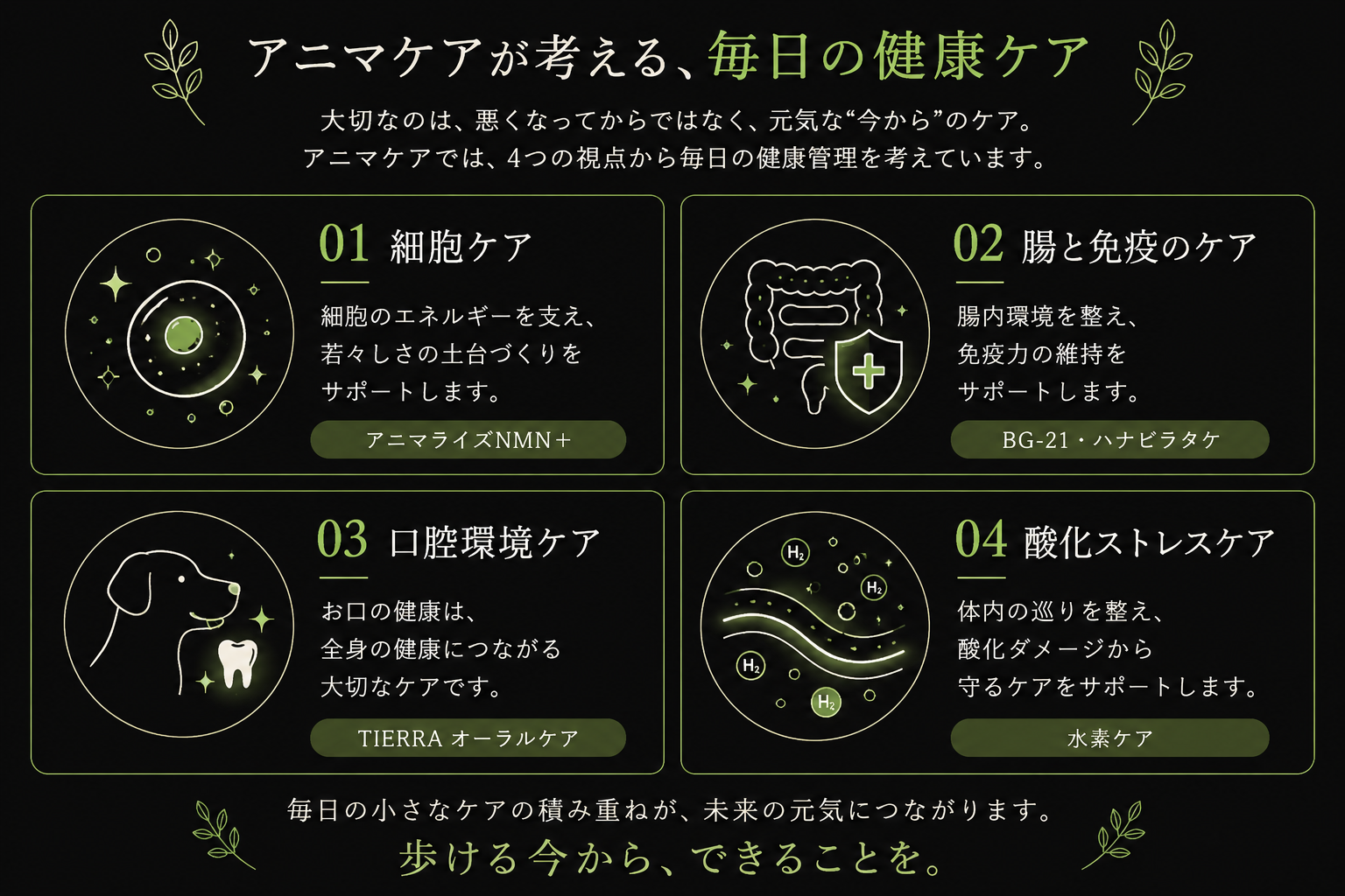 アニマケアが考える細胞ケア、腸と免疫ケア、口腔環境ケア、酸化ストレスケアの4つの健康管理を説明した図解